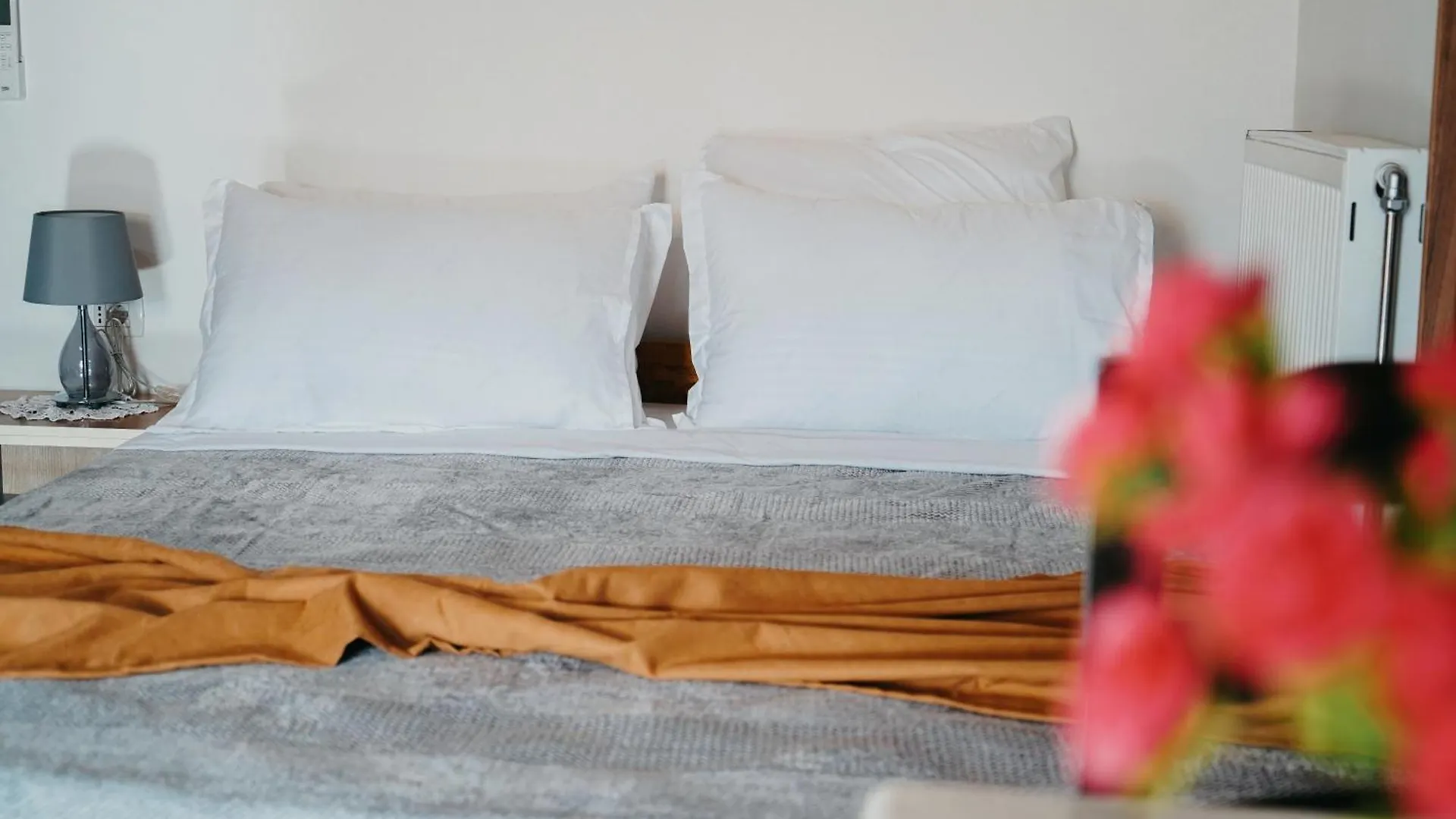 Bujtina Anlu Hotel Nepravishte