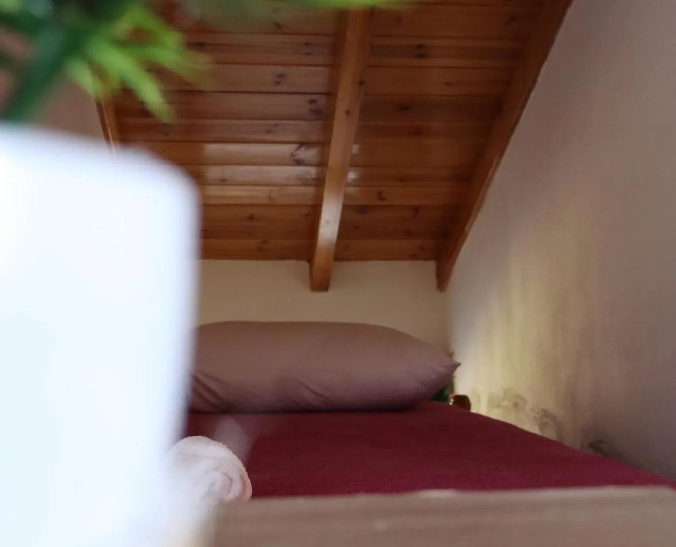 Bujtina Anlu Hotel Nepravishte Gæstehus